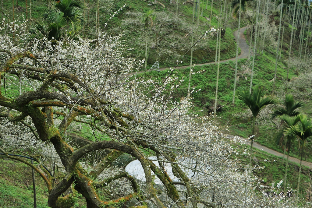 陳董梅園