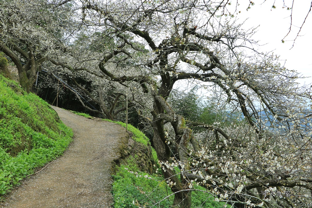 陳董梅園