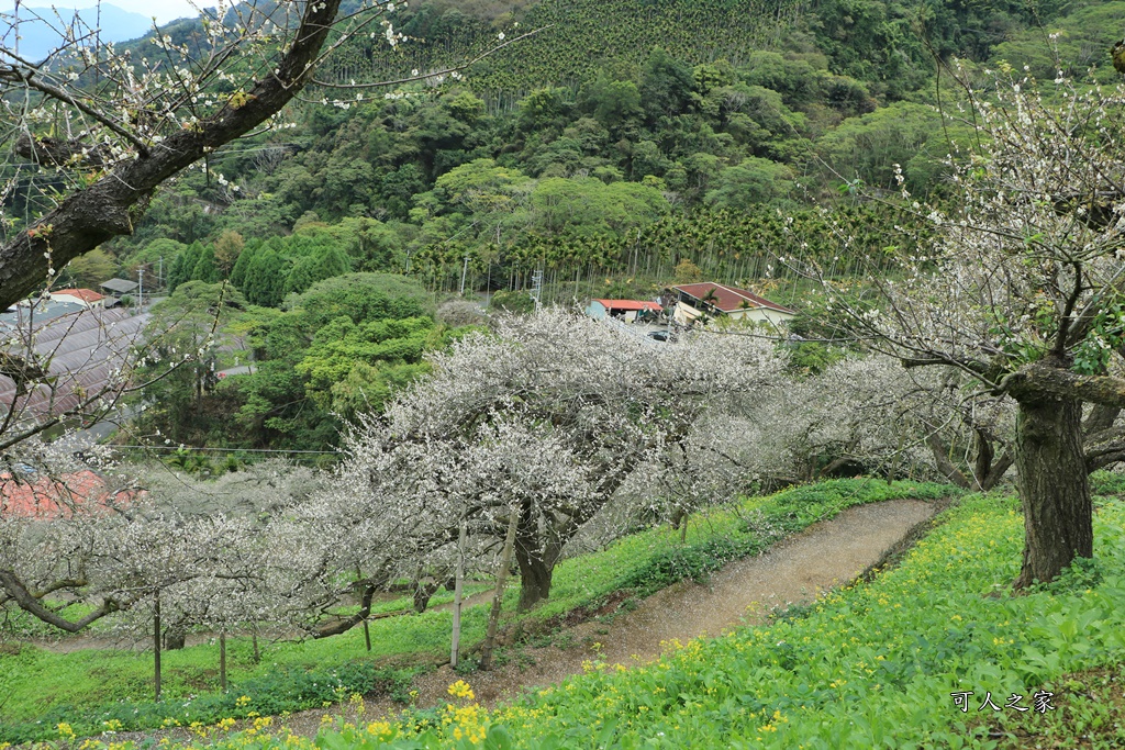 陳董梅園