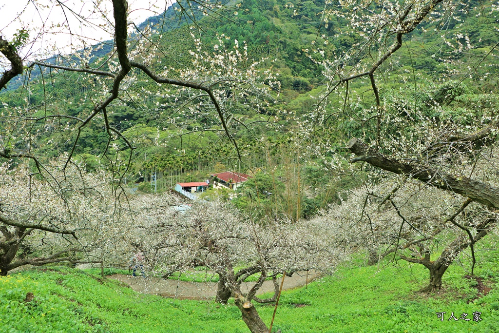 陳董梅園