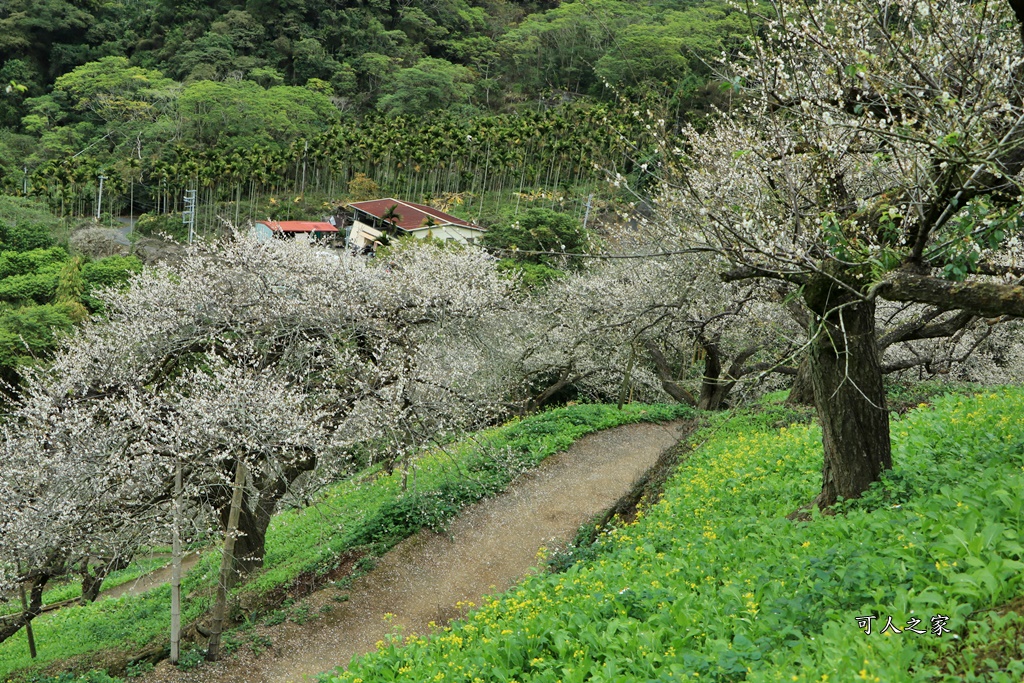 陳董梅園