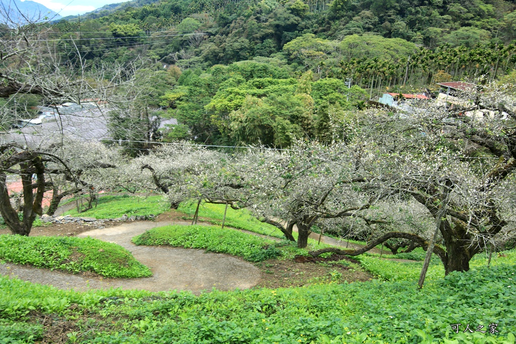 陳董梅園