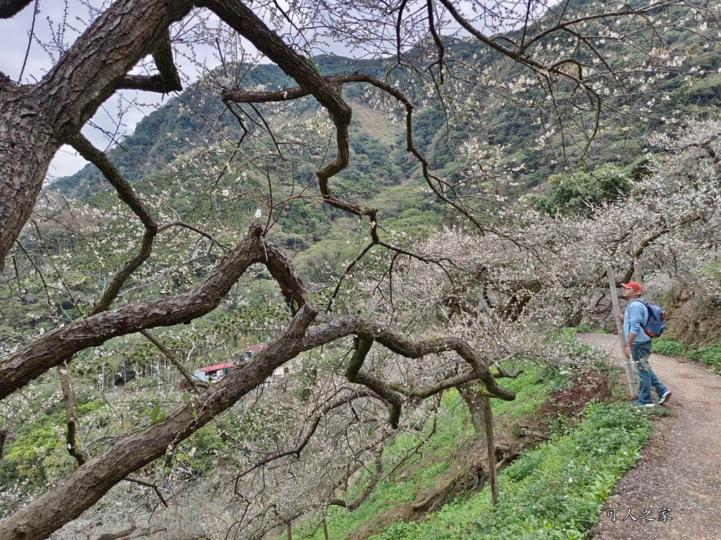 陳董梅園