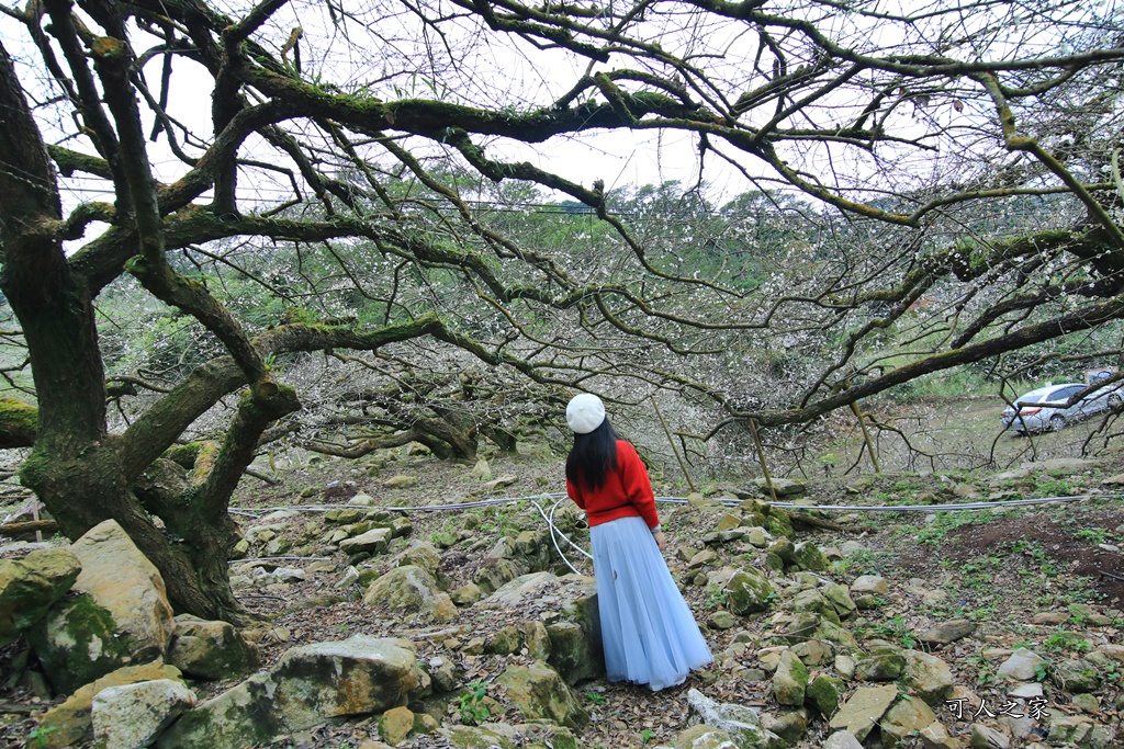 張家梅園