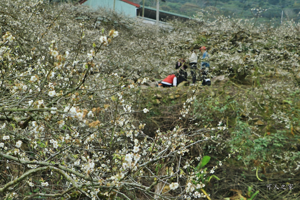 張家梅園