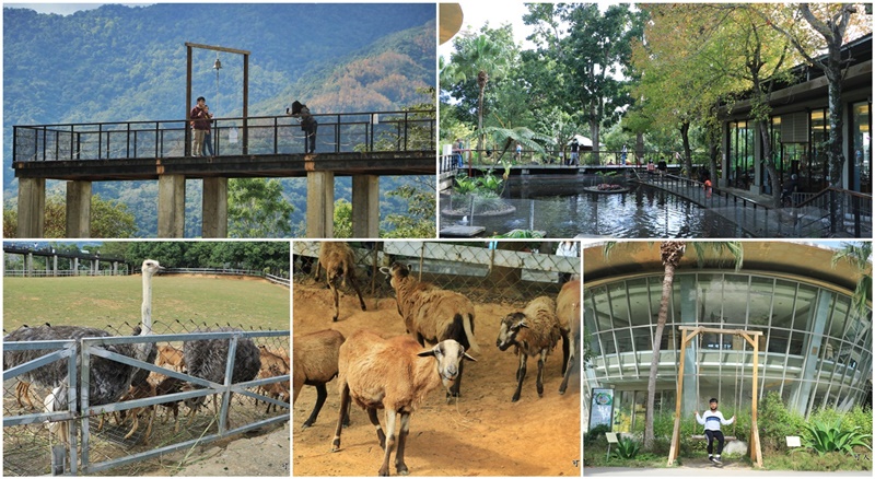 原生應用植物園,台東景點,屏東景點 @可人之家