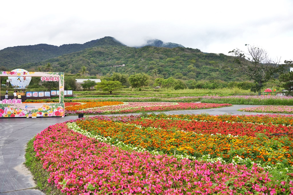 季節性花景