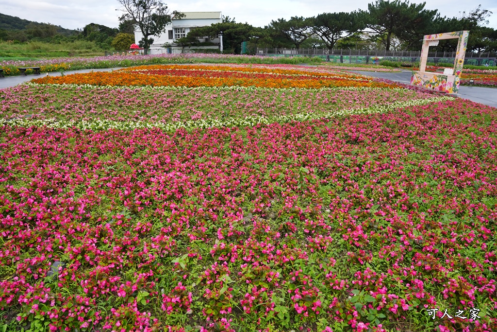 季節性花景