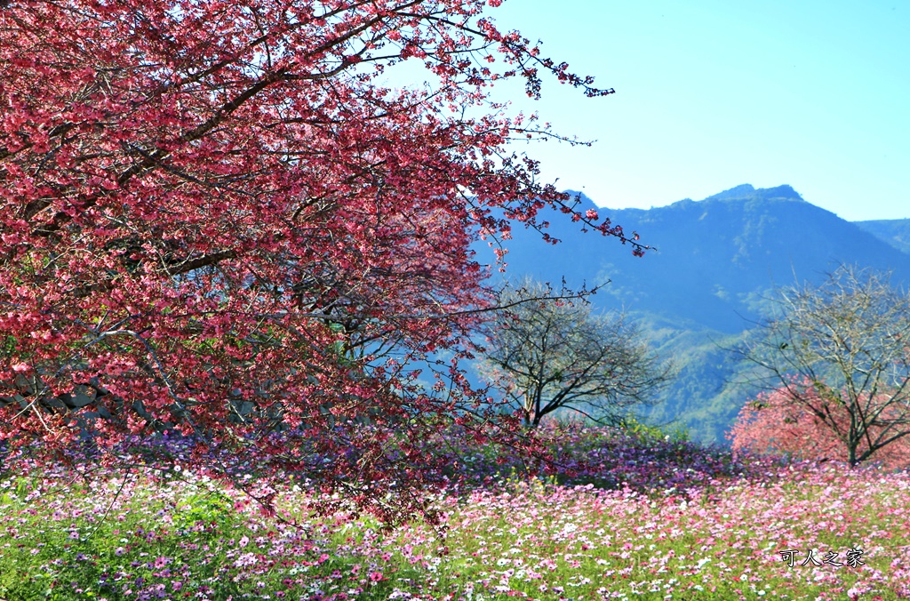 水里阿本農場