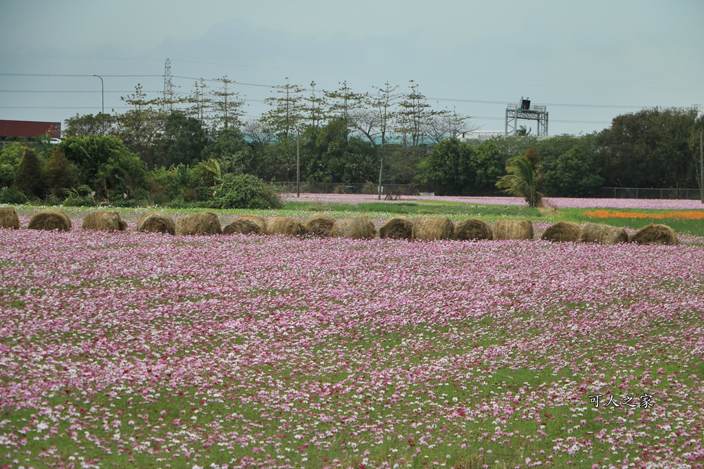 彰化300花樂me