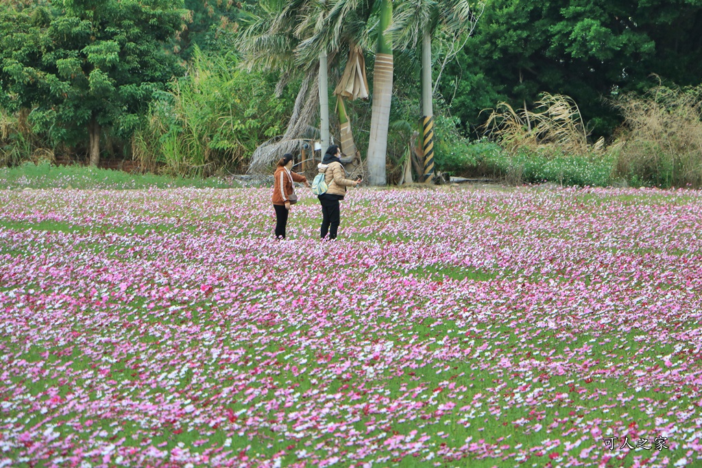 彰化300花樂me