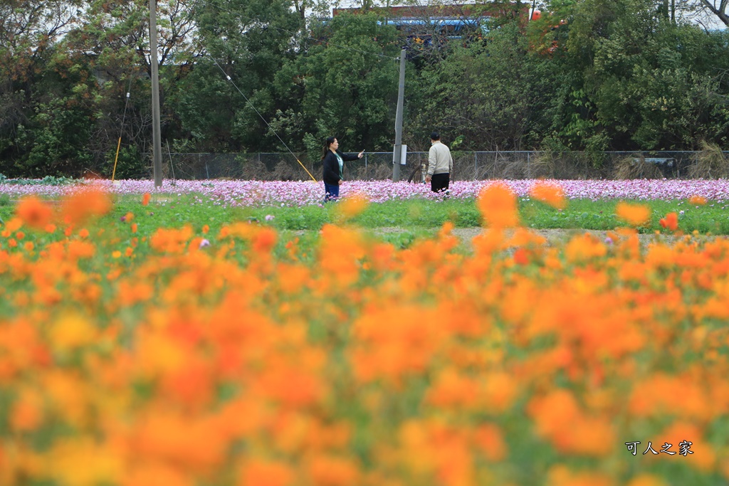 彰化300花樂me