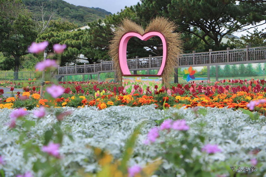 季節性花景