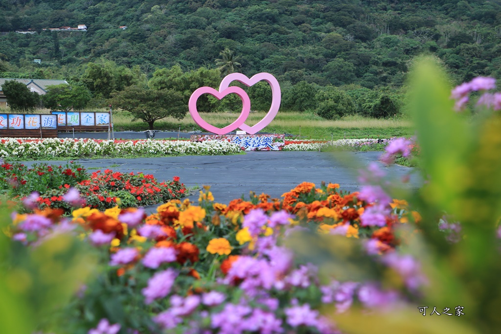 季節性花景