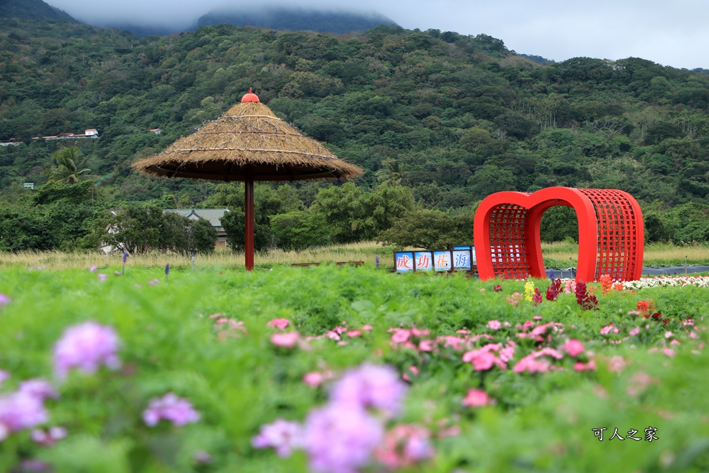 季節性花景