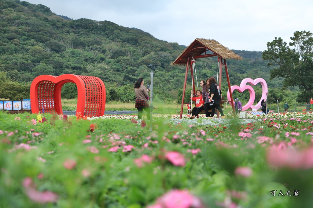 季節性花景