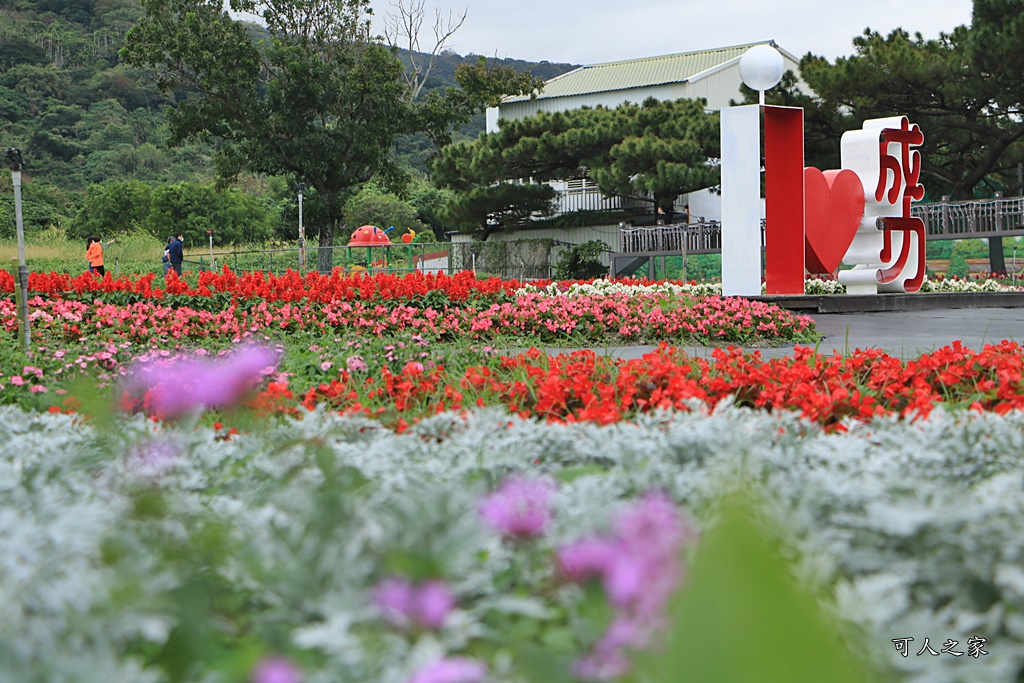 季節性花景