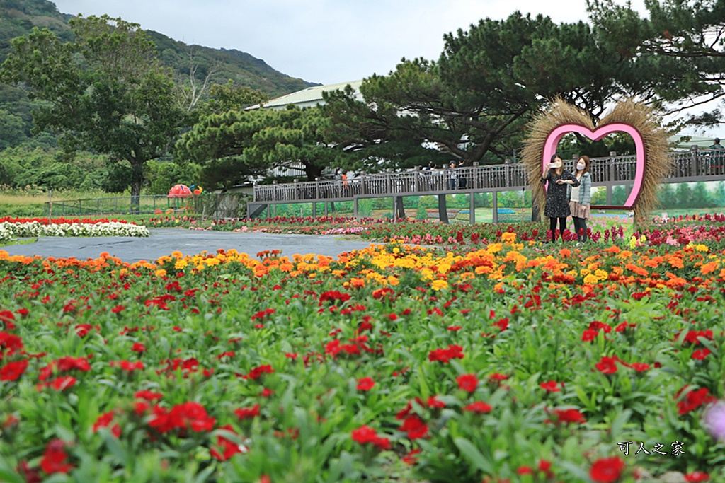 季節性花景