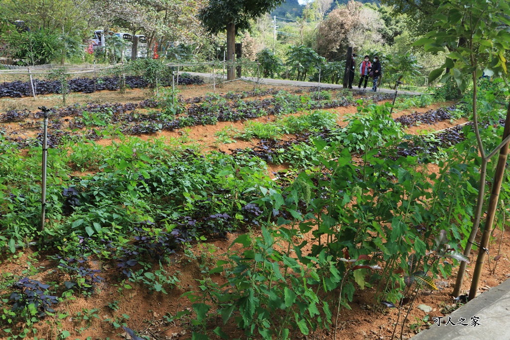 原生應用植物園,台東景點,屏東景點