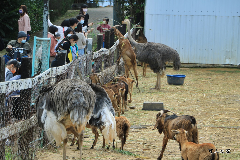 原生應用植物園,台東景點,屏東景點