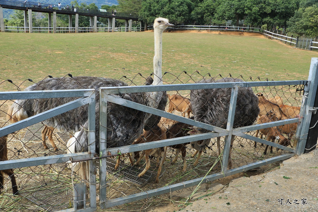 原生應用植物園,台東景點,屏東景點