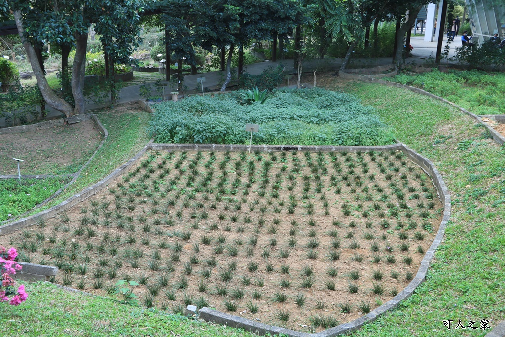 原生應用植物園,台東景點,屏東景點