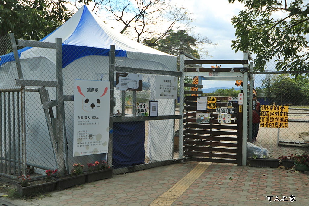 台東梅花鹿,台東鹿野景點,梅花鹿公園