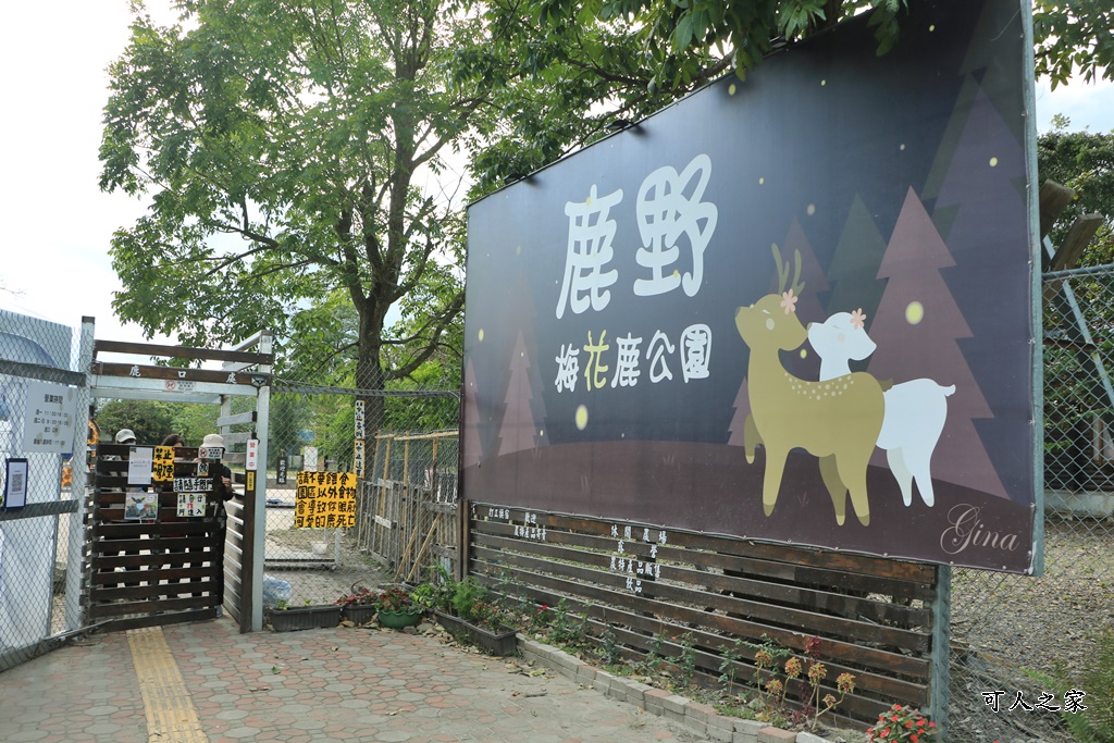 台東梅花鹿,台東鹿野景點,梅花鹿公園