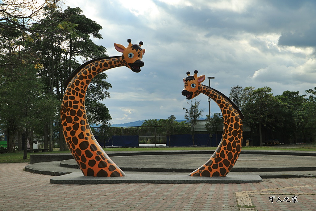 台東梅花鹿,台東鹿野景點,梅花鹿公園