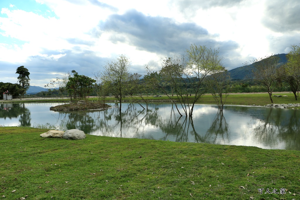 台東梅花鹿,台東鹿野景點,梅花鹿公園