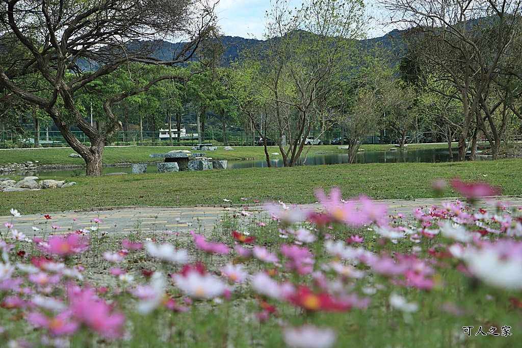 台東梅花鹿,台東鹿野景點,梅花鹿公園