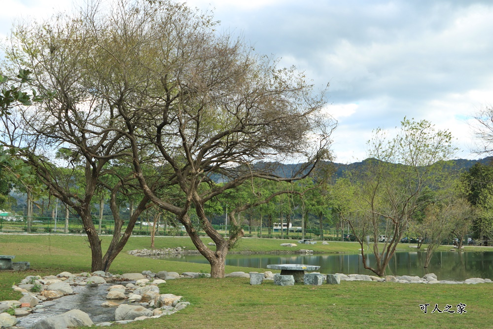 台東梅花鹿,台東鹿野景點,梅花鹿公園