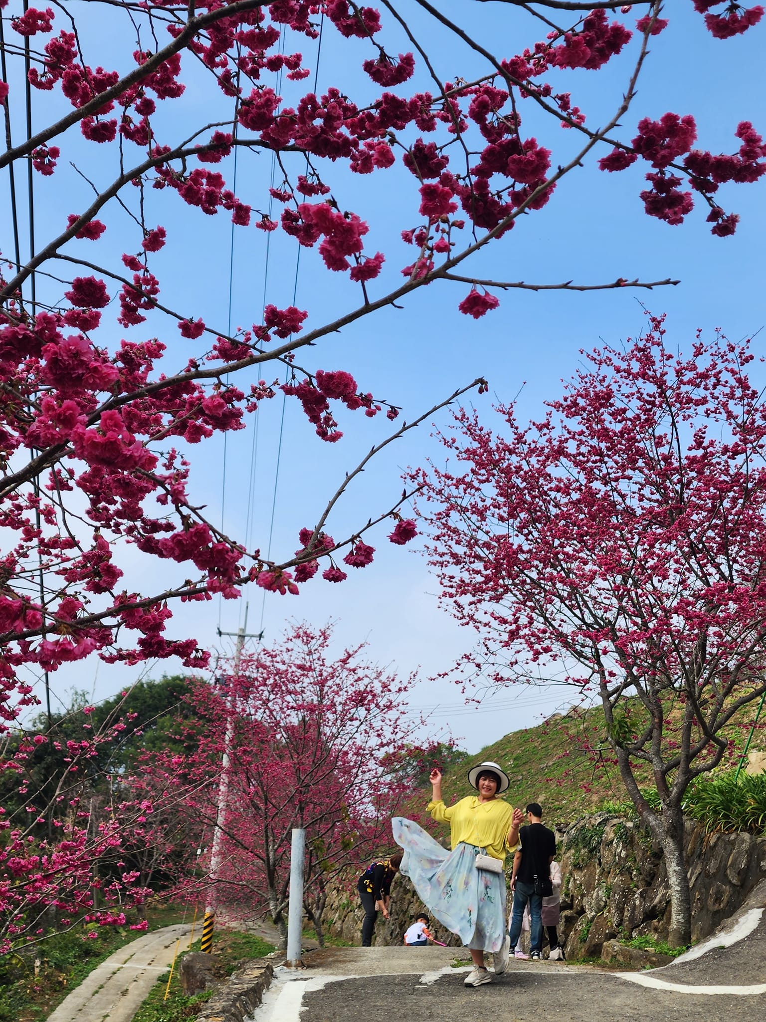 全台一日遊,嘉義景點一日遊,嘉義阿里山景點