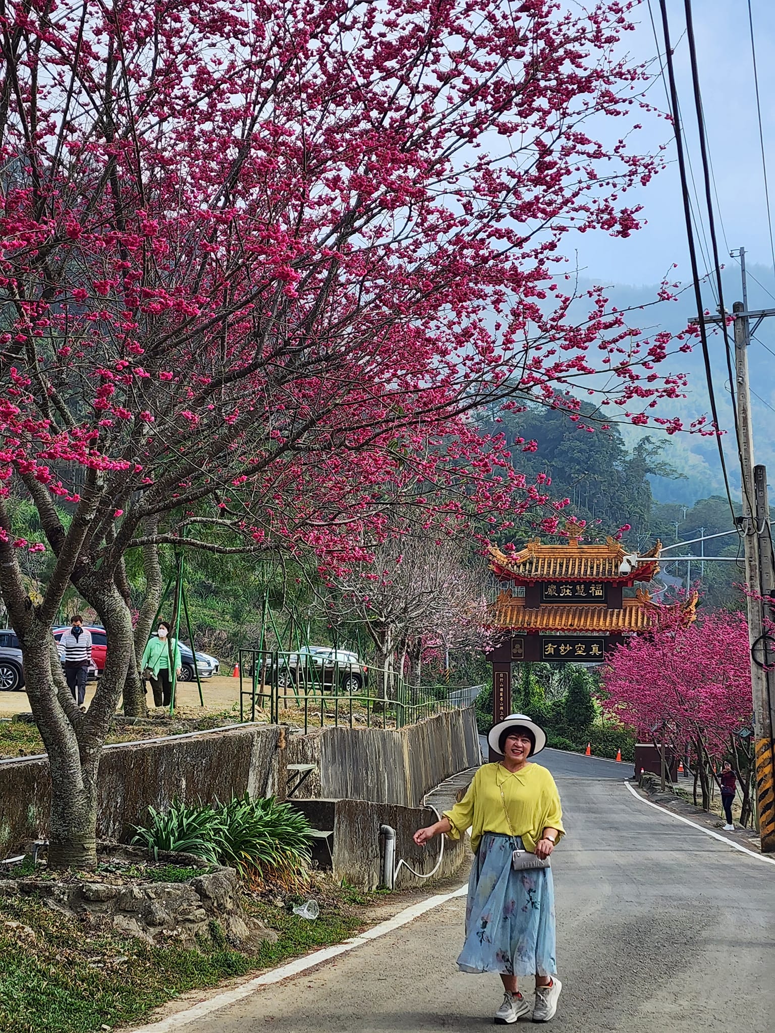 2022彌陀禪寺,嘉義八重櫻,季節性花景