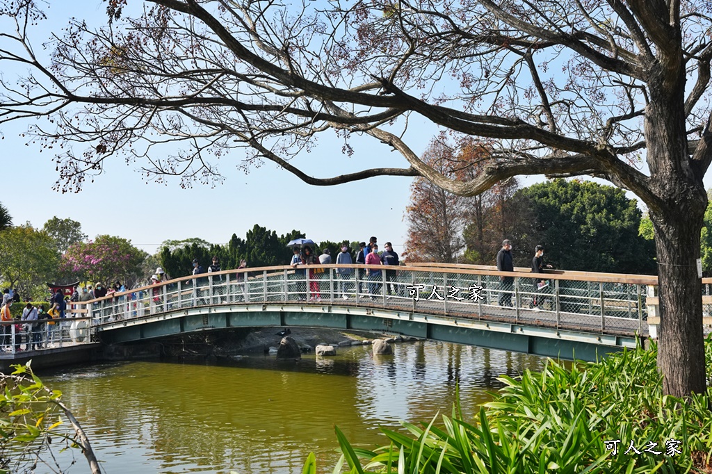 2022花在彰化,溪州公園