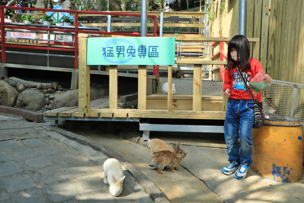 今夜星辰休閒農場,彰化景點,彰化親子景點,彰化餵動物,戶外景點,收費資訊,有停車場