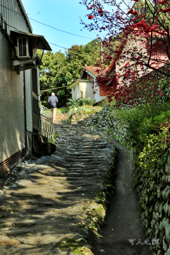 員林古厝賞櫻秘境,湖水里集興宮,百果山賞櫻