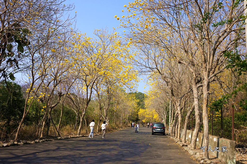 一日遊,二水鄉,彰化縣,旅遊,泡湯,火車,爬山,社頭,親子遊,豐伯廣場,附近景點,黃金隧道