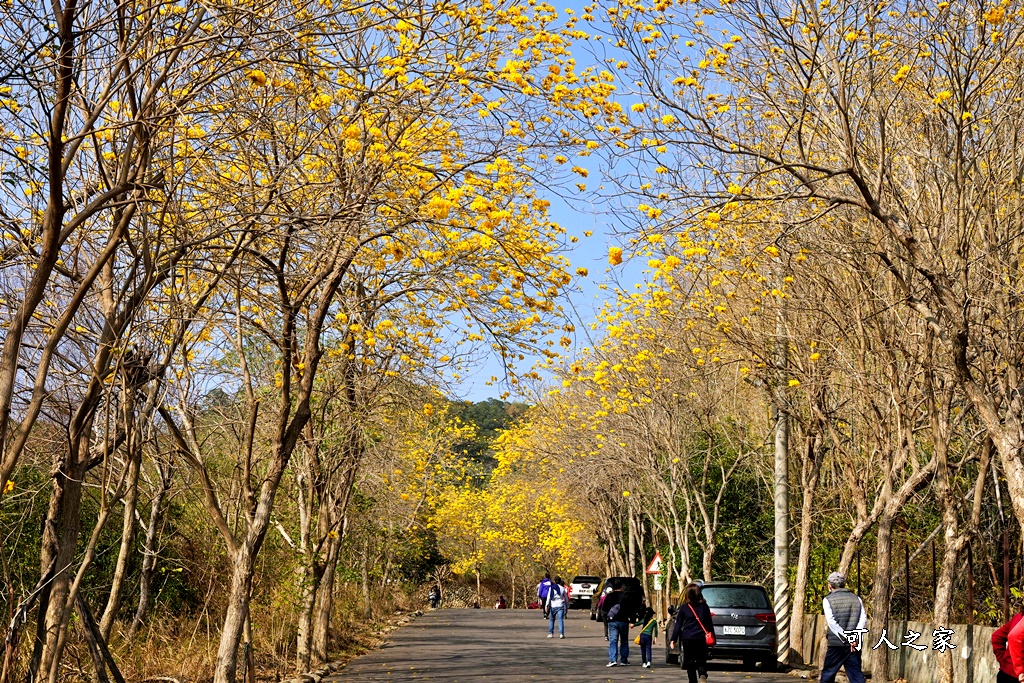 一日遊,二水鄉,彰化縣,旅遊,泡湯,火車,爬山,社頭,親子遊,豐伯廣場,附近景點,黃金隧道