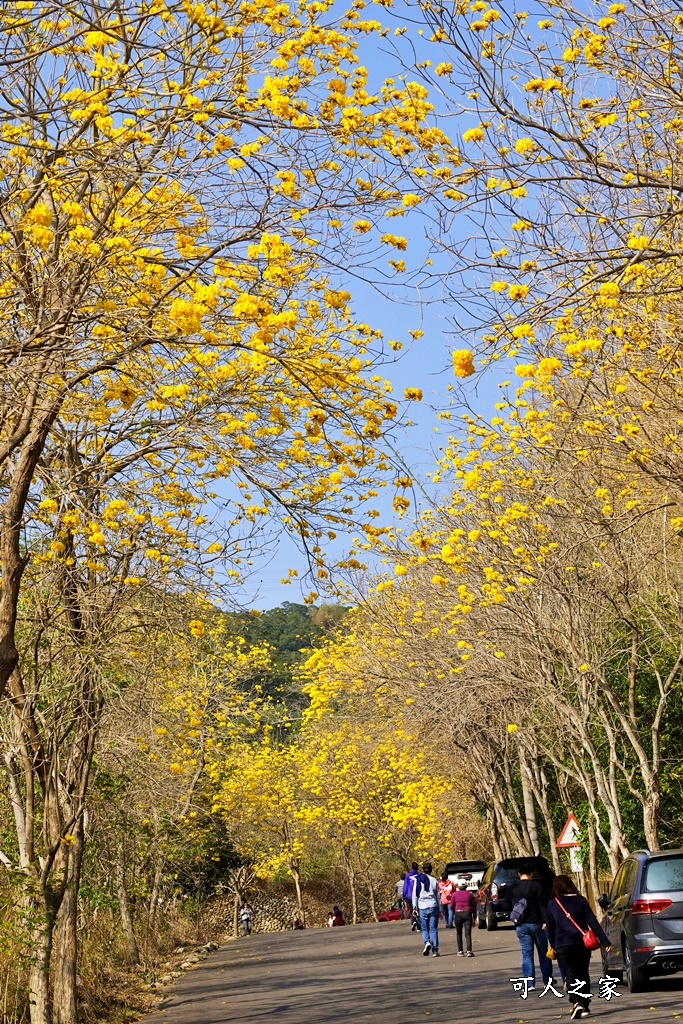 一日遊,二水鄉,彰化縣,旅遊,泡湯,火車,爬山,社頭,親子遊,豐伯廣場,附近景點,黃金隧道