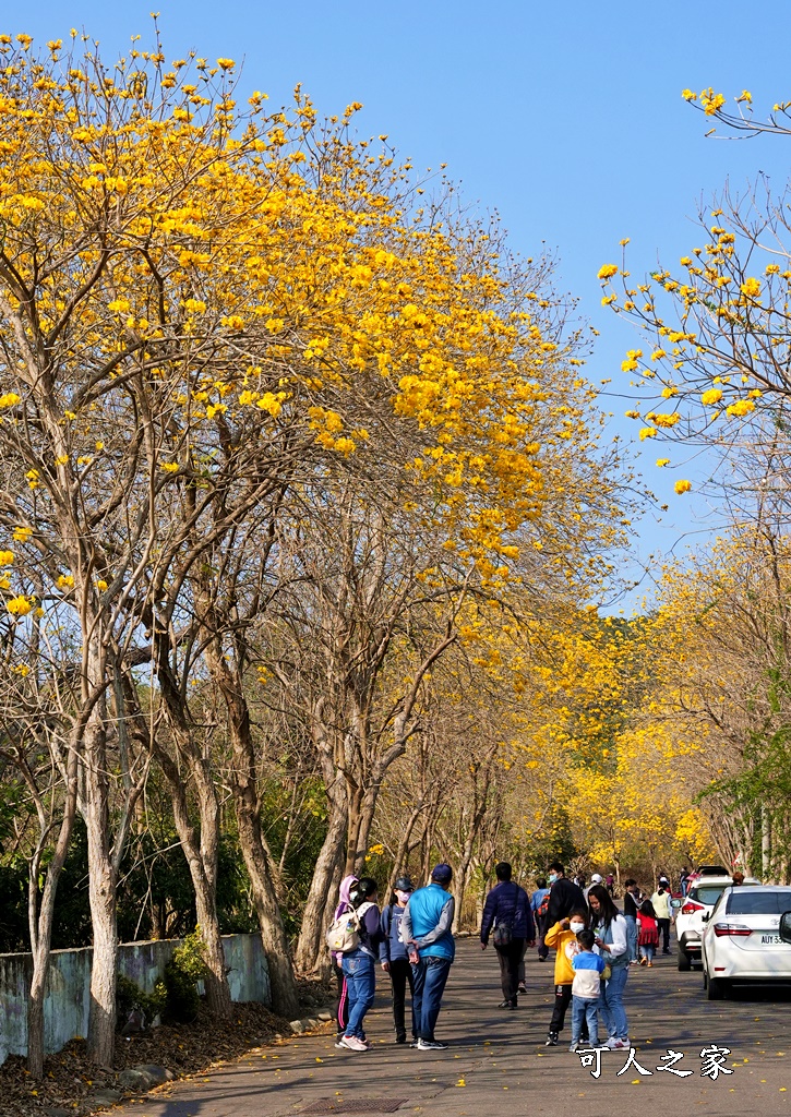 一日遊,二水鄉,彰化縣,旅遊,泡湯,火車,爬山,社頭,親子遊,豐伯廣場,附近景點,黃金隧道