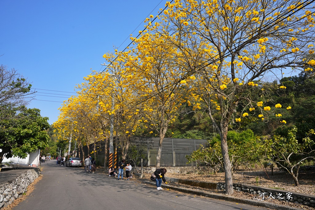 一日遊,二水鄉,彰化縣,旅遊,泡湯,火車,爬山,社頭,親子遊,豐伯廣場,附近景點,黃金隧道