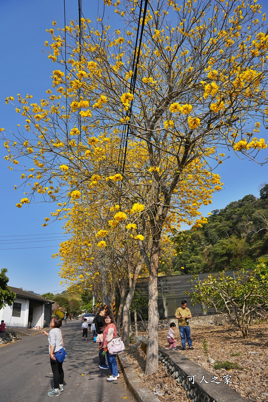 一日遊,二水鄉,彰化縣,旅遊,泡湯,火車,爬山,社頭,親子遊,豐伯廣場,附近景點,黃金隧道