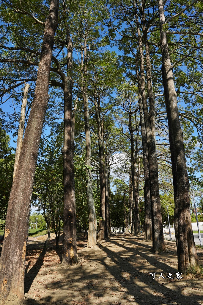 斗六新景點,膨鼠森林公園,金瓜鼠樂園,雲林景點