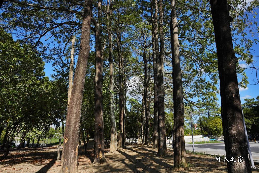 斗六新景點,膨鼠森林公園,金瓜鼠樂園,雲林景點