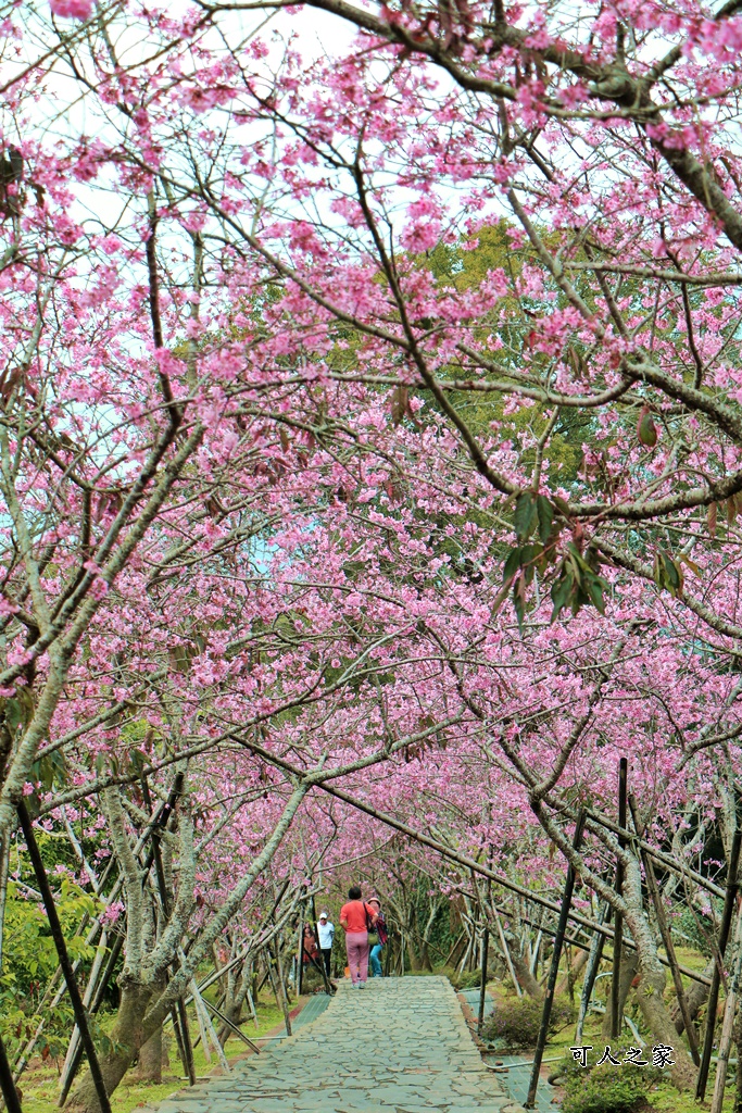 2021鹿谷台大實驗林~鳳凰自然教育園區