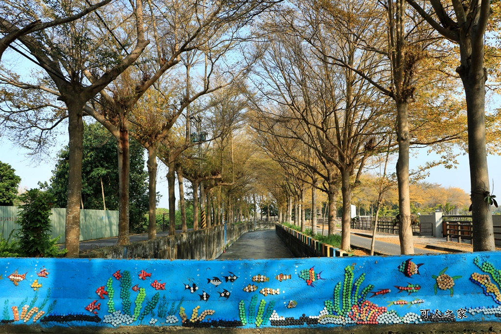 八堡圳市集,彰化景點,彰化田中八堡圳,黃雨金小葉欖仁