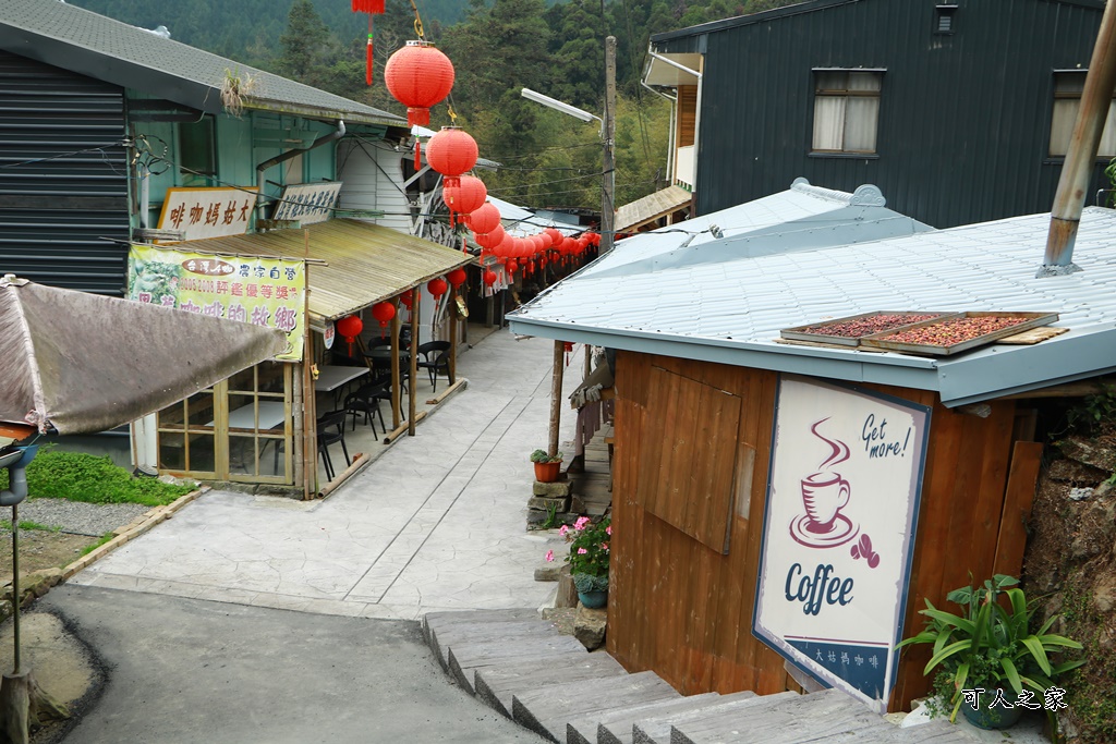 嘉義景點一日遊,嘉義阿里山景點