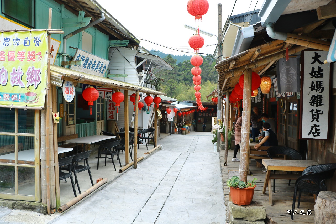 嘉義景點一日遊,嘉義阿里山景點