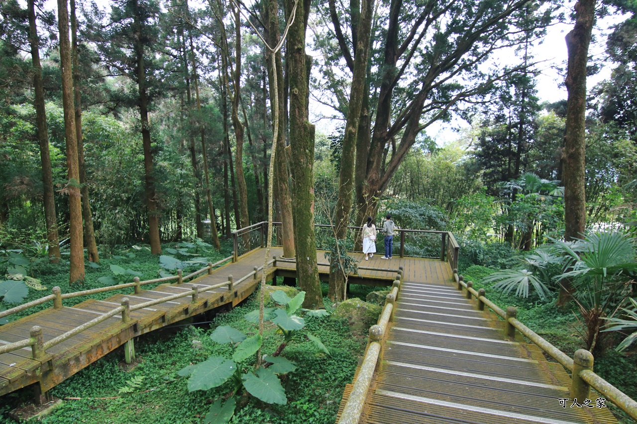 嘉義奮起湖,奮起湖一日遊,奮起湖檜木甜甜圈